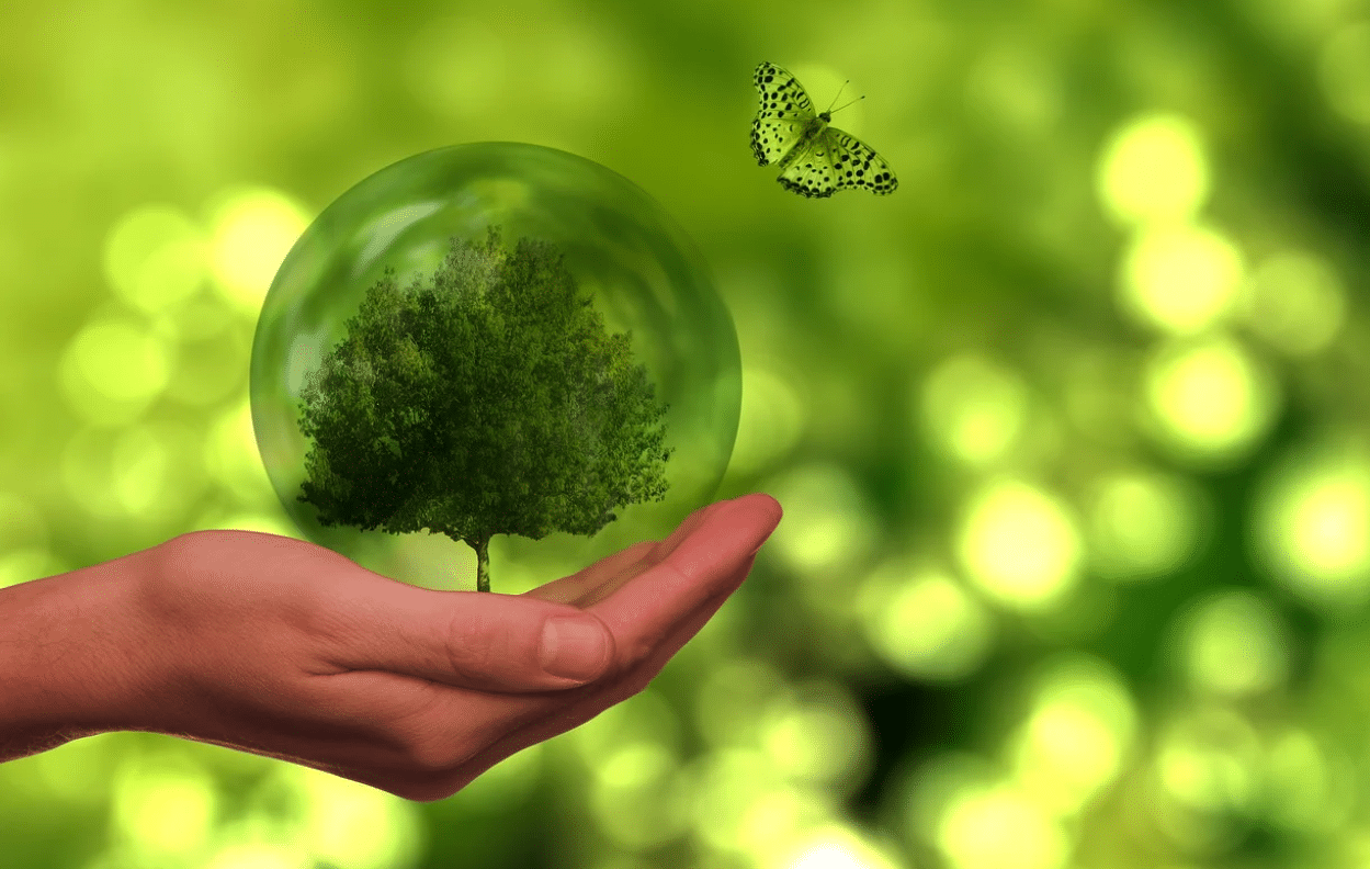 entrepreneuriat écologique