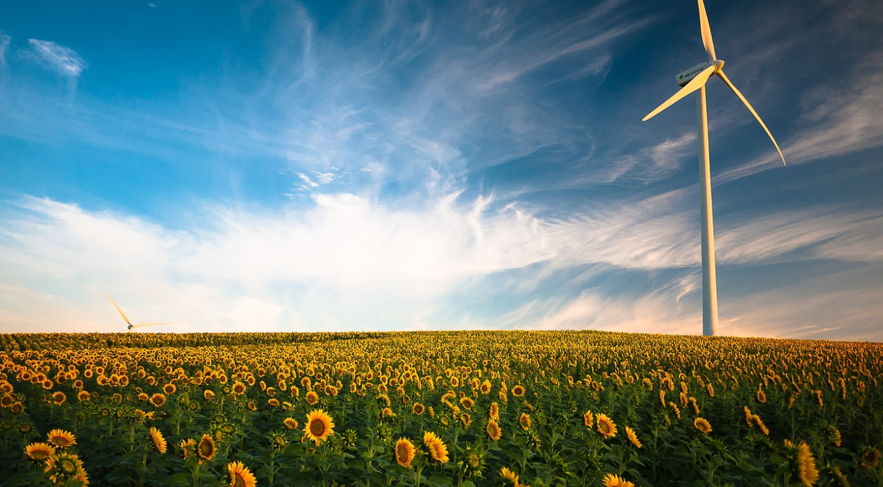 éolienne champ de tournesol